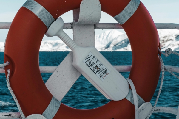 Thumbnail for Joint Arctic SAR Event