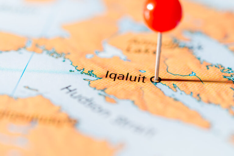 Thumbnail for Advancing Community Engagement at the NEDA Conference